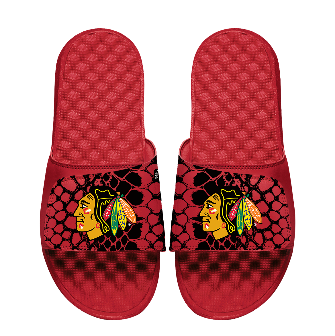 Blackhawks Year of the Snake