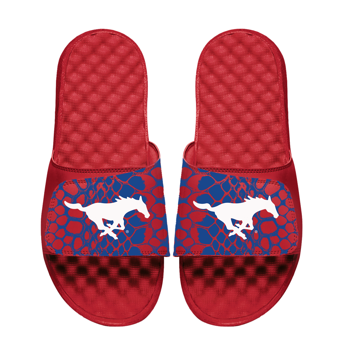 SMU Mustangs Year of the Snake