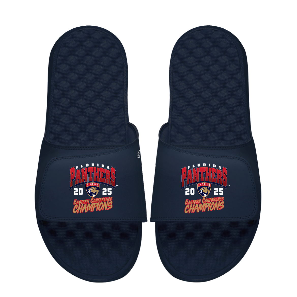 Florida Panthers 2025 Eastern Conference Finals Champs