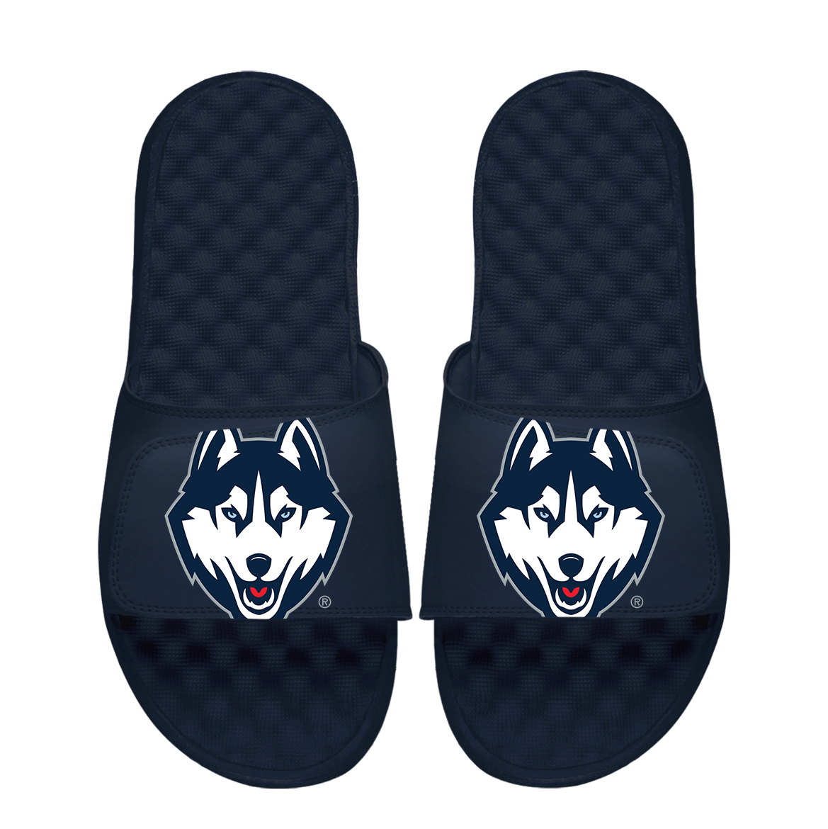 UConn Huskies Oversized Logo