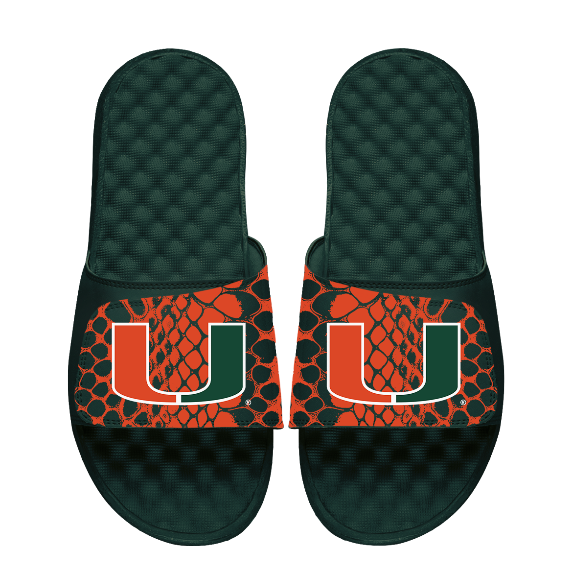 Miami Hurricanes Year of the Snake