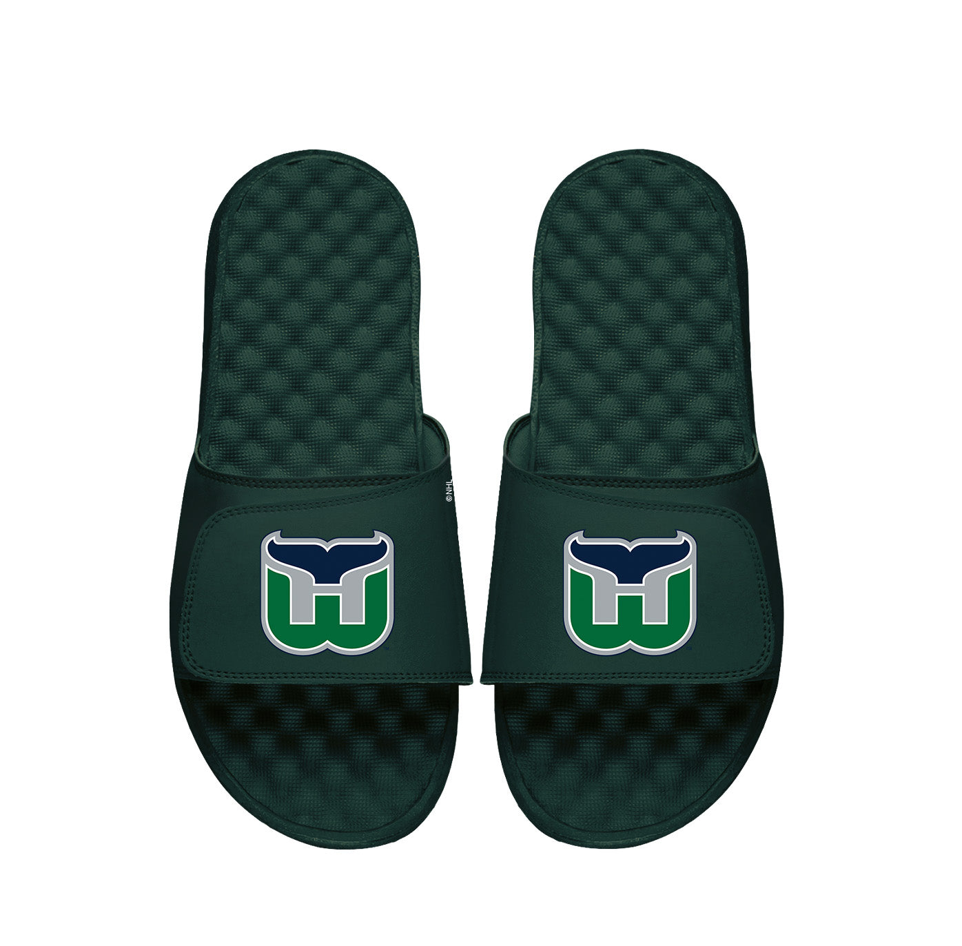 Hartford Whalers Dark Green Vintage Primary Slides