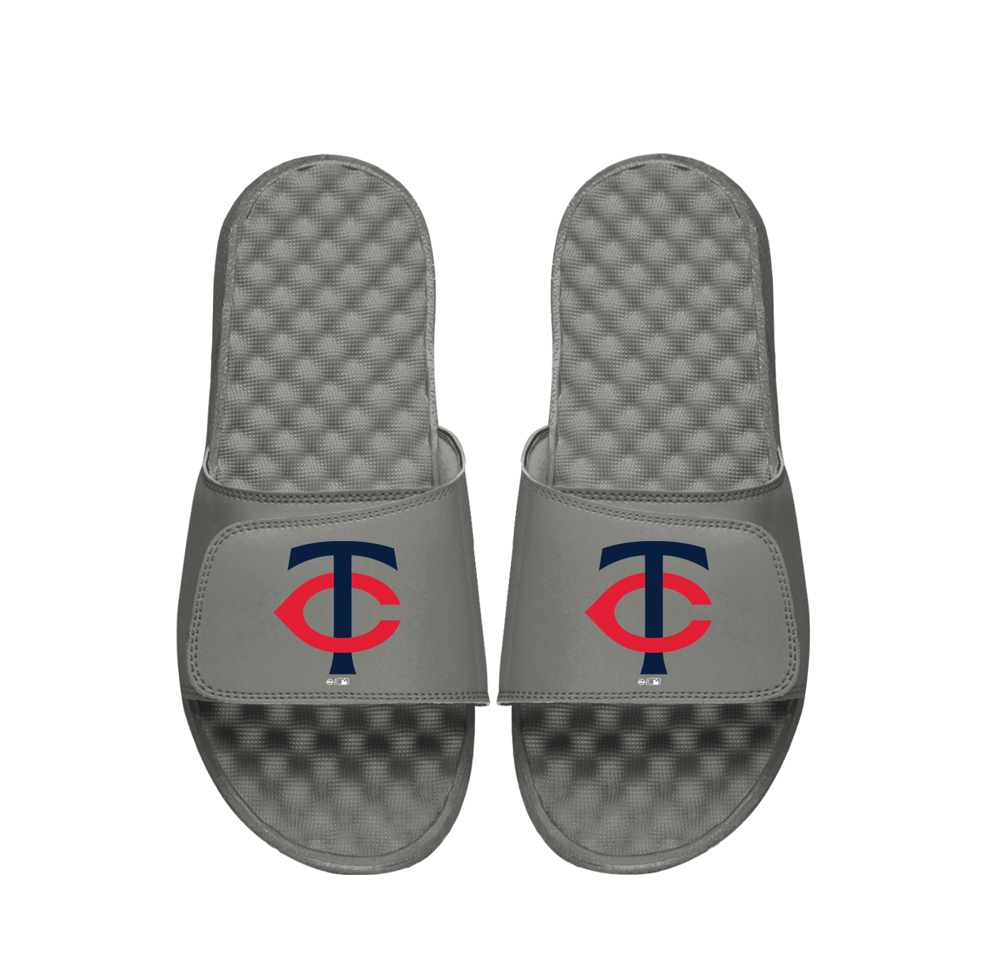 Minnesota Twins Primary Slides