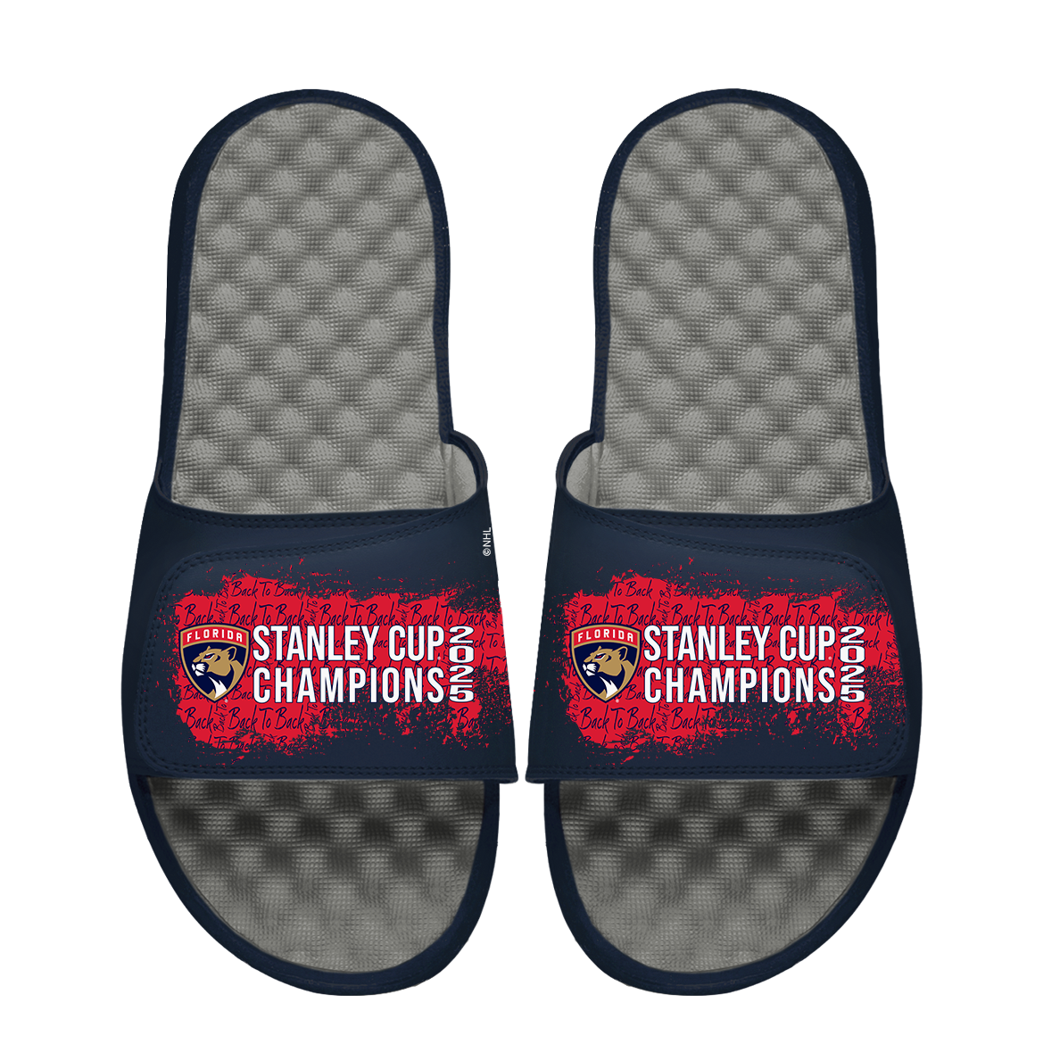 Florida Panthers 2025 Stanley Cup Champions Script