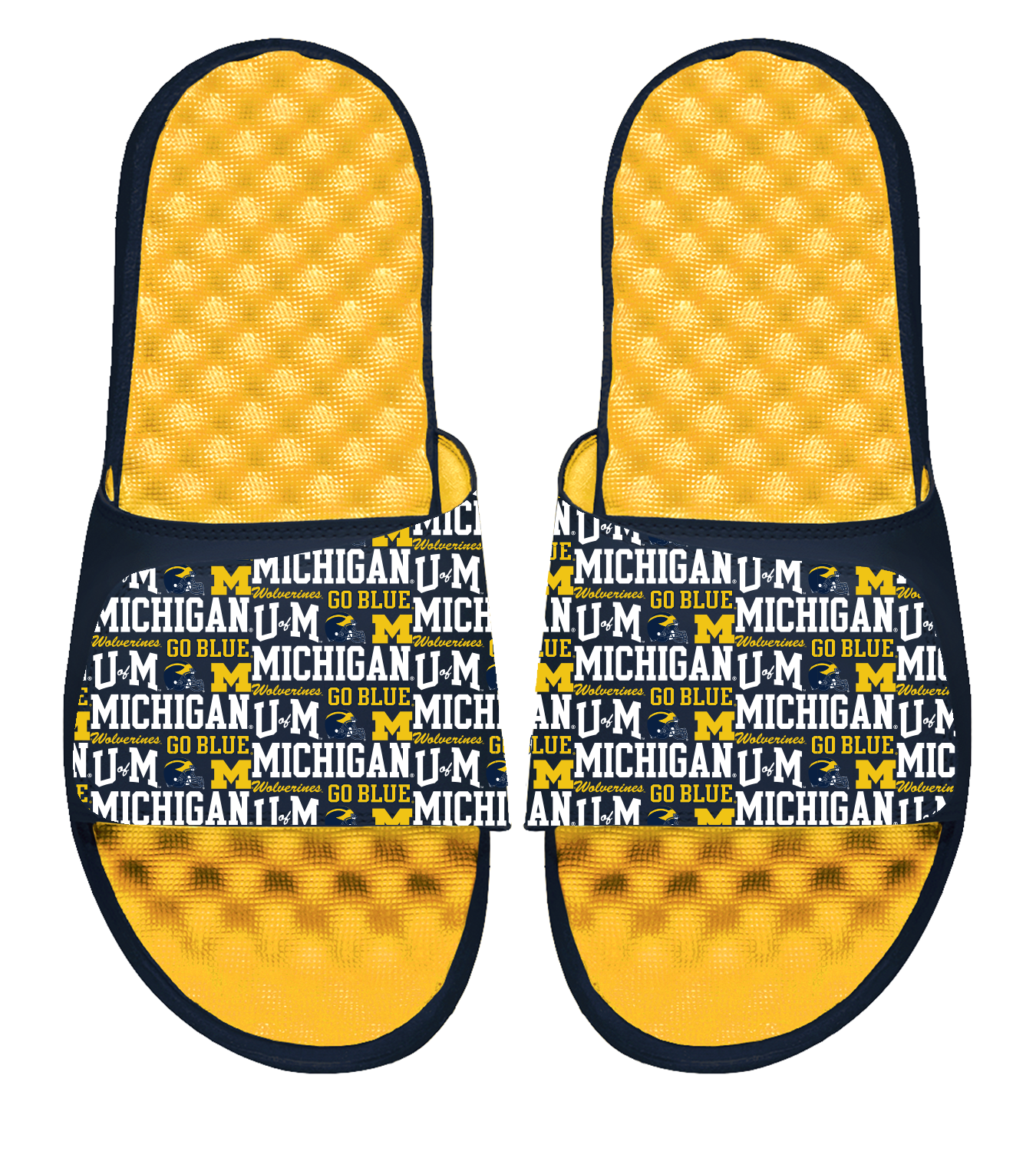 Michigan Maize Collage Slides