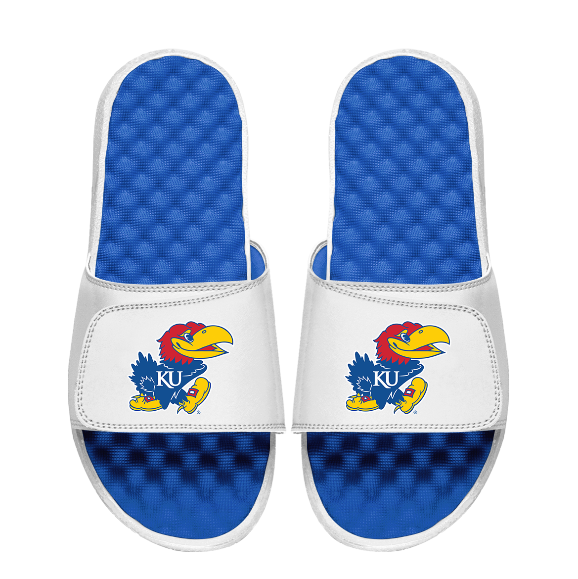Kansas Jayhawks Primary