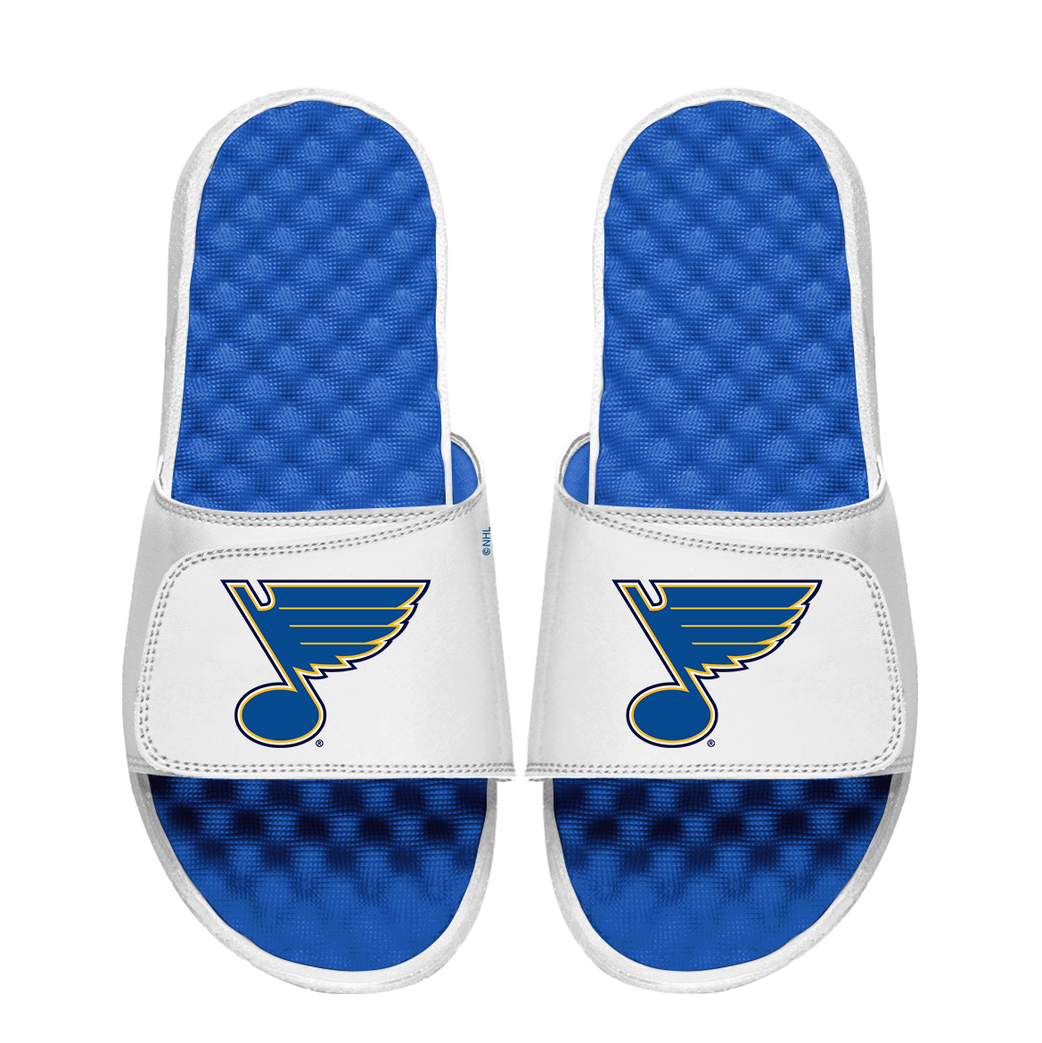 St Louis Blues Primary