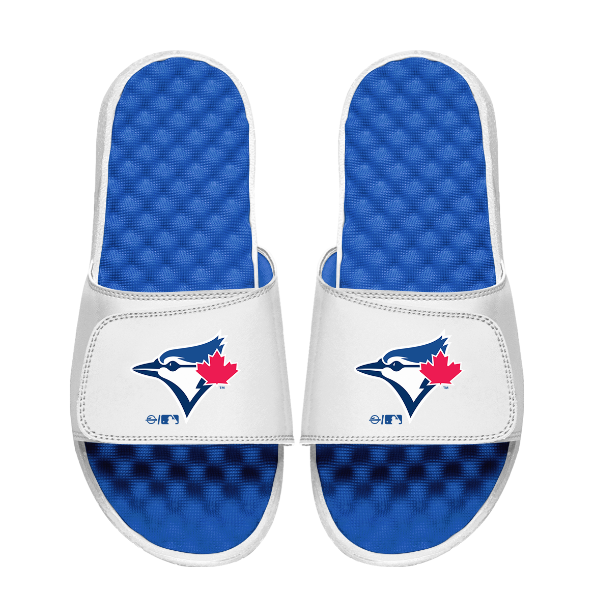 Toronto Blue Jays Primary