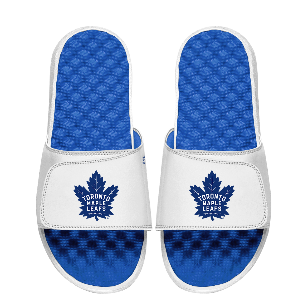 Toronto Maple Leafs Primary