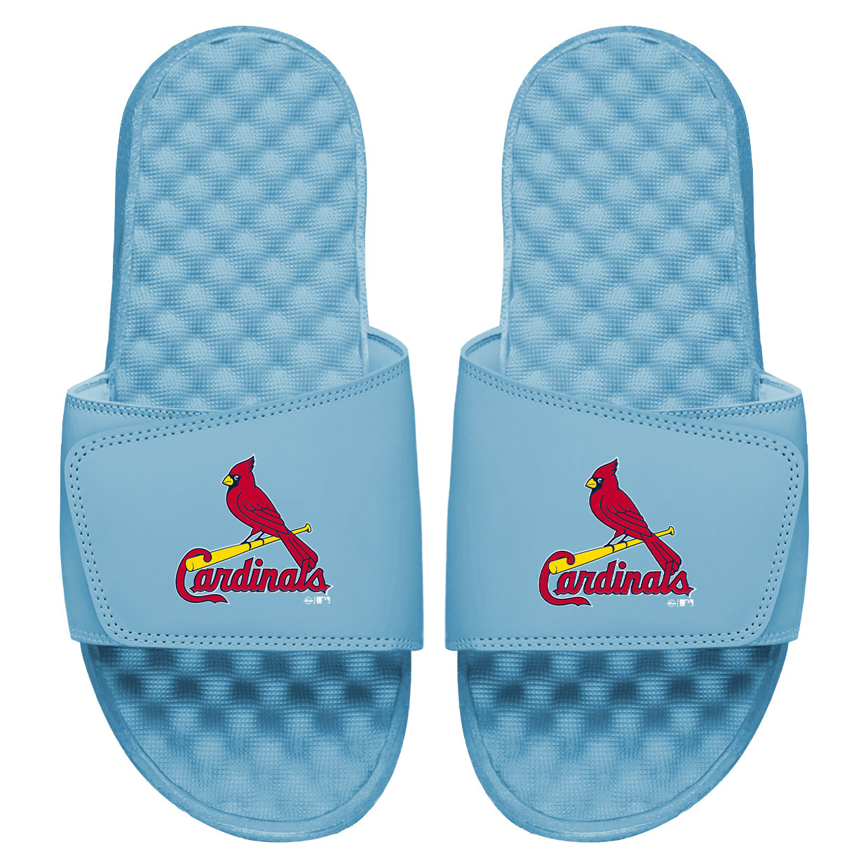 Cardinals Primary UNC Blue Slides