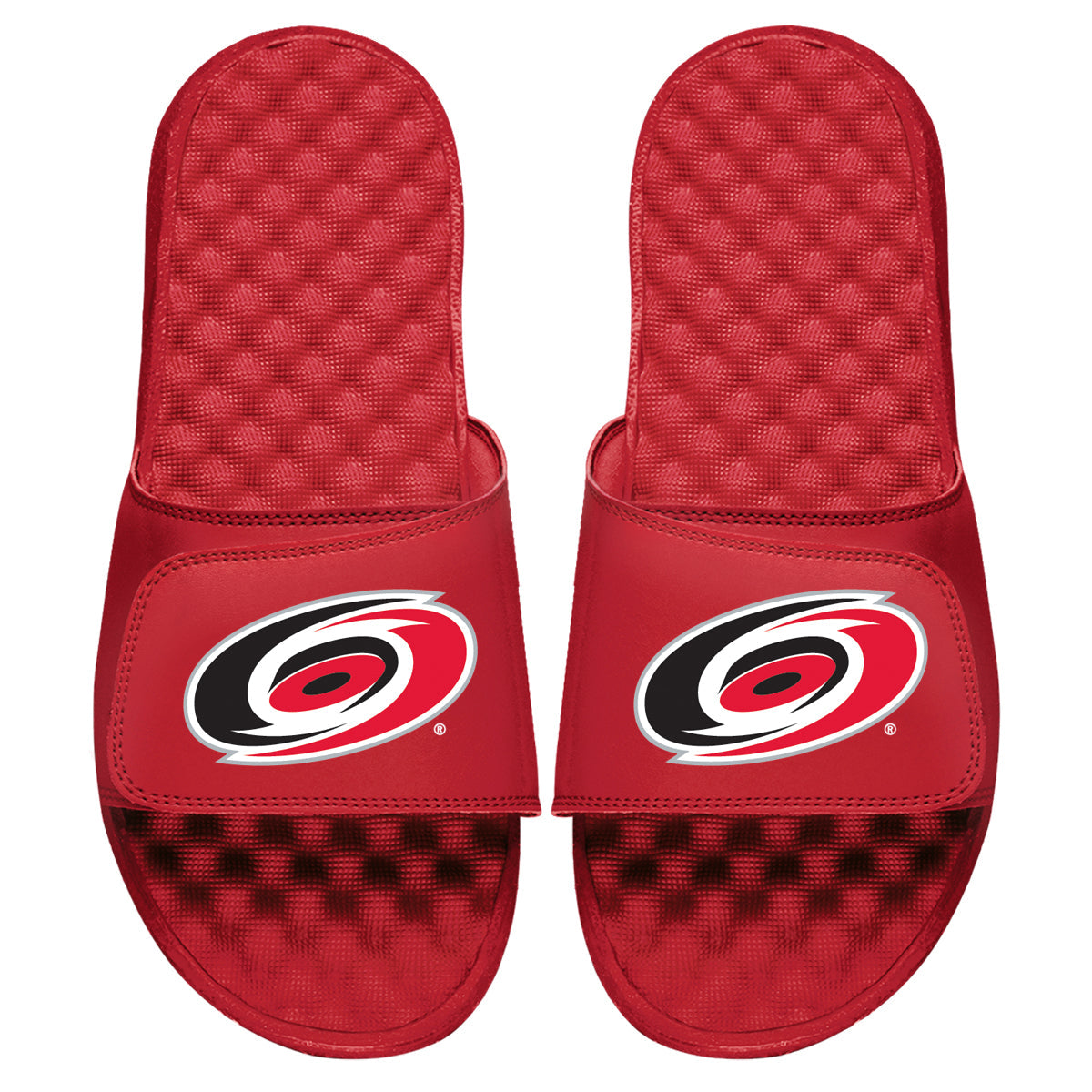 Carolina Hurricanes Primary Slides