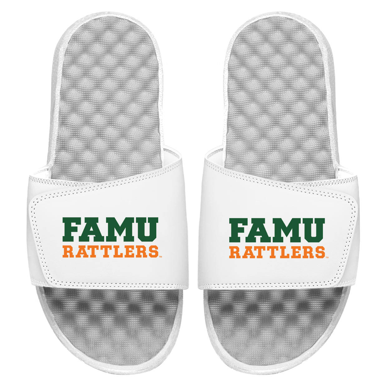 FAMU Rattlers Wordmark Slides