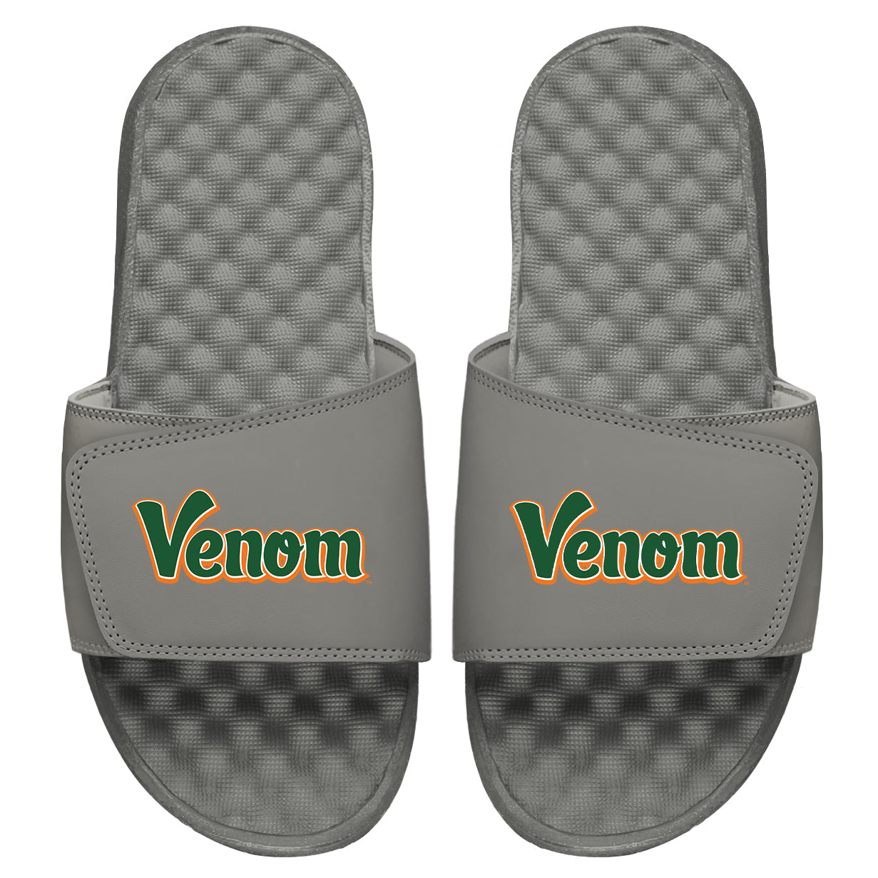 FAMU Venom Slides
