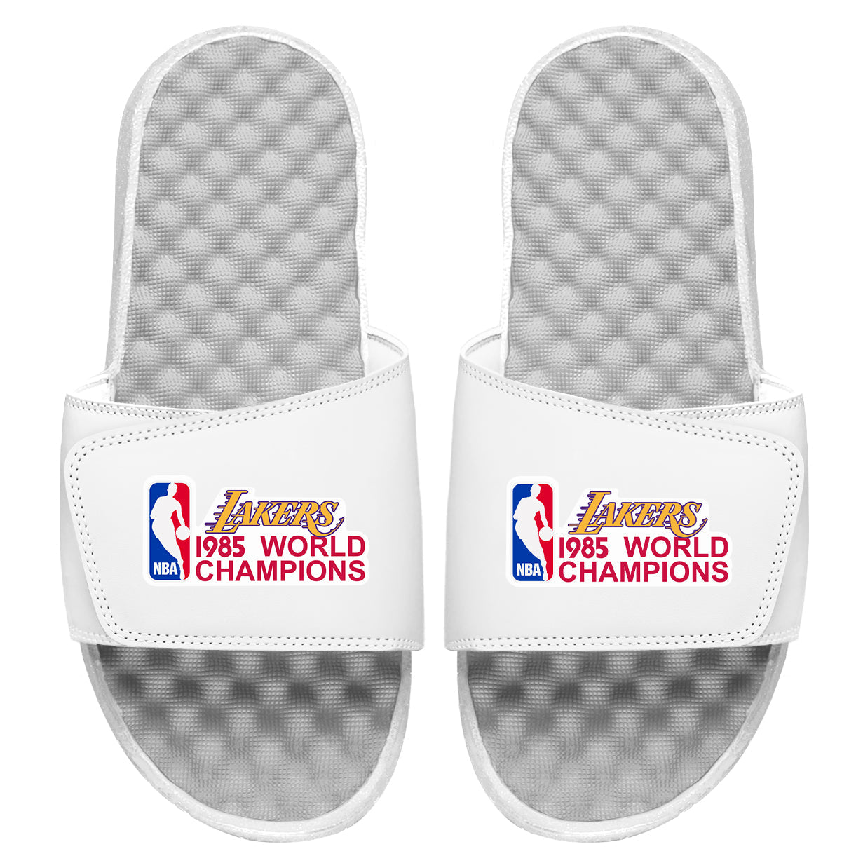 Lakers 1985 World Champions Slides