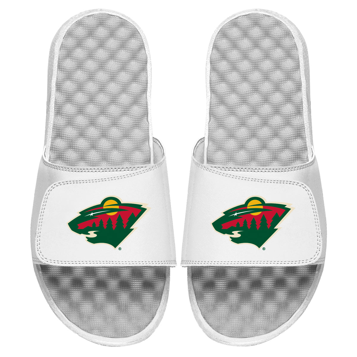 Minnesota Wild Primary Slides