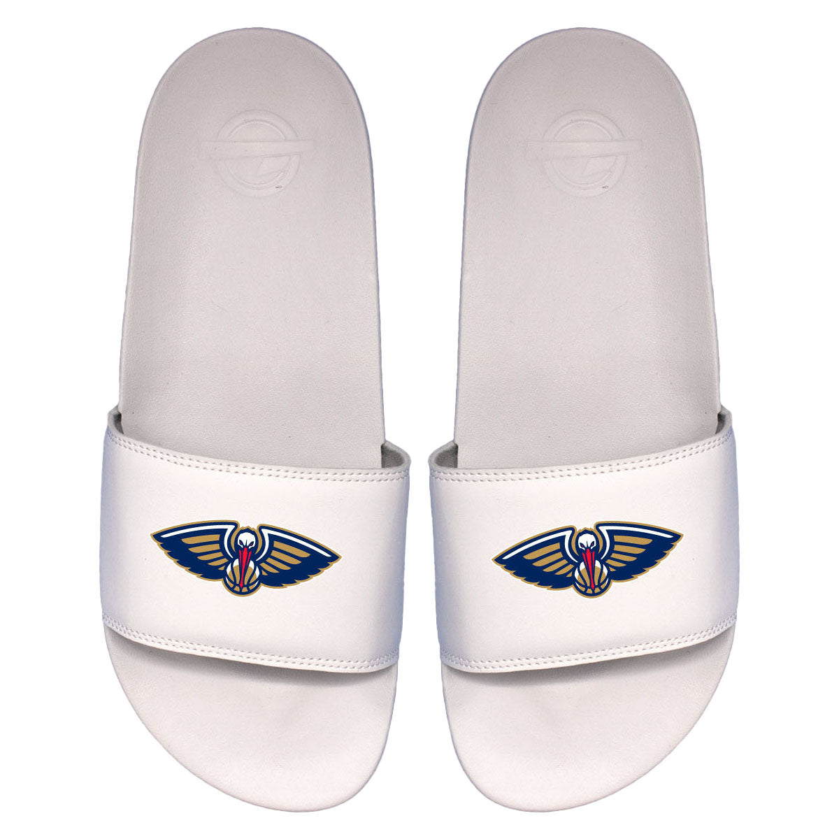 Pelicans Primary Motto Slides