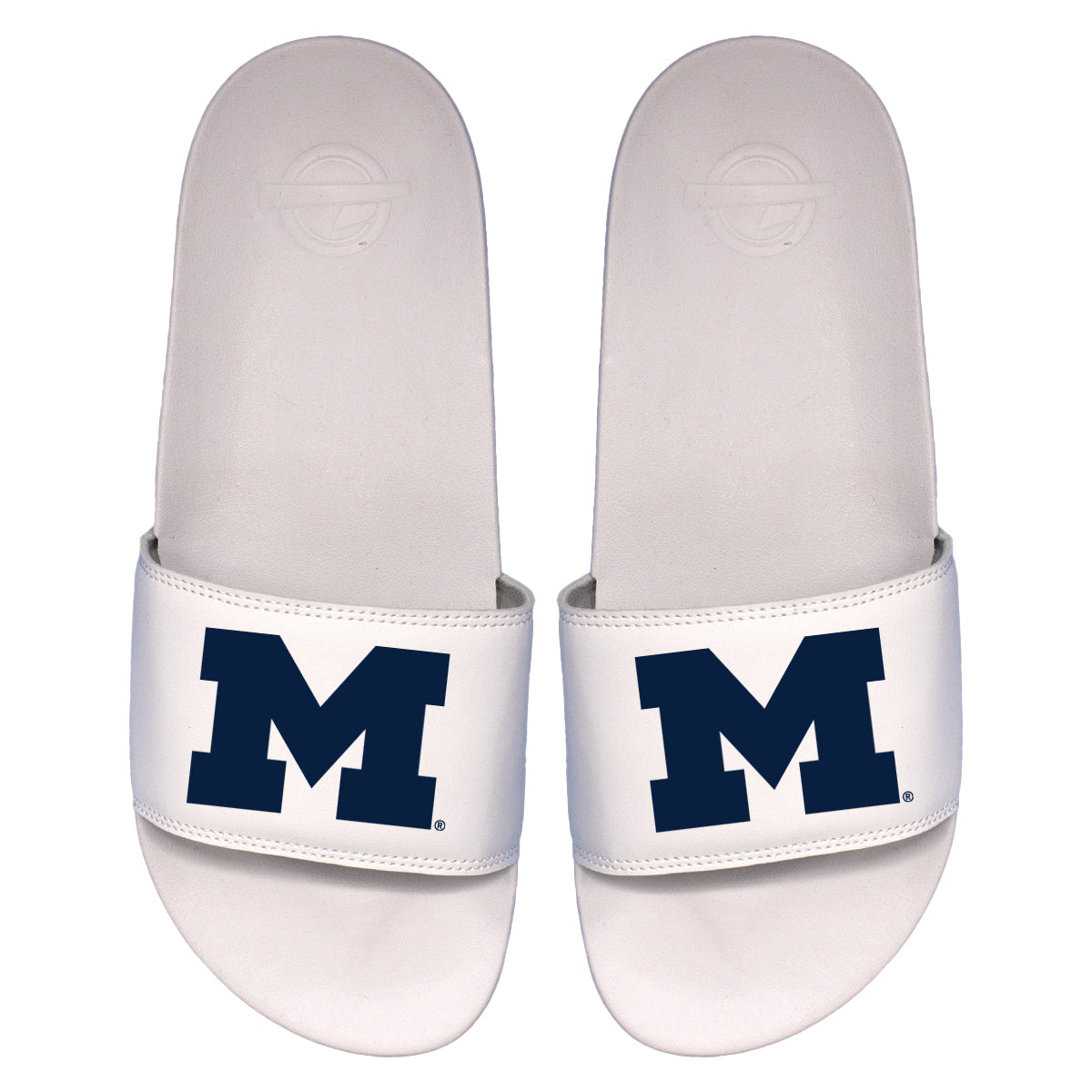 Michigan Primary Motto Slides