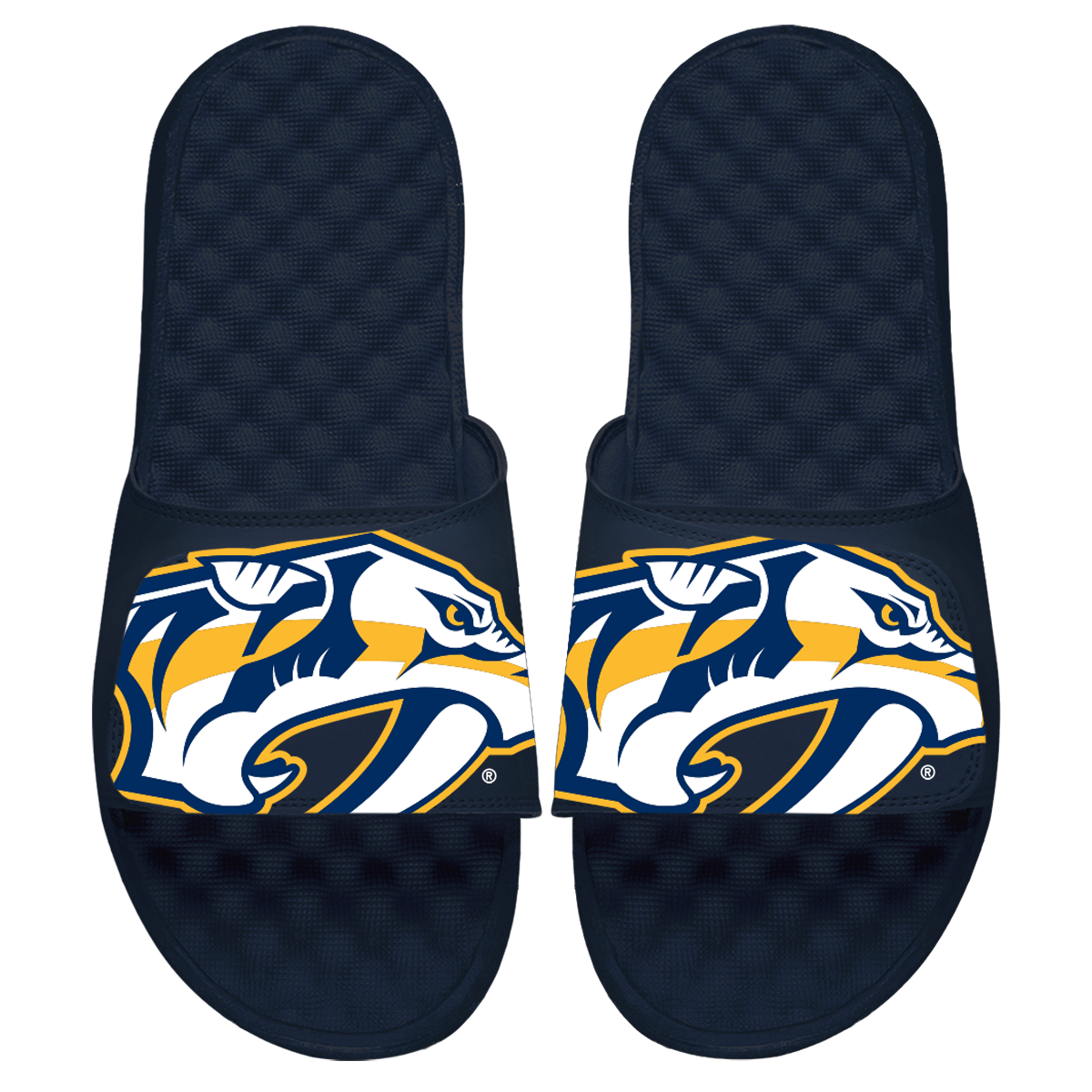 Nashville Predators Blown Up Slides