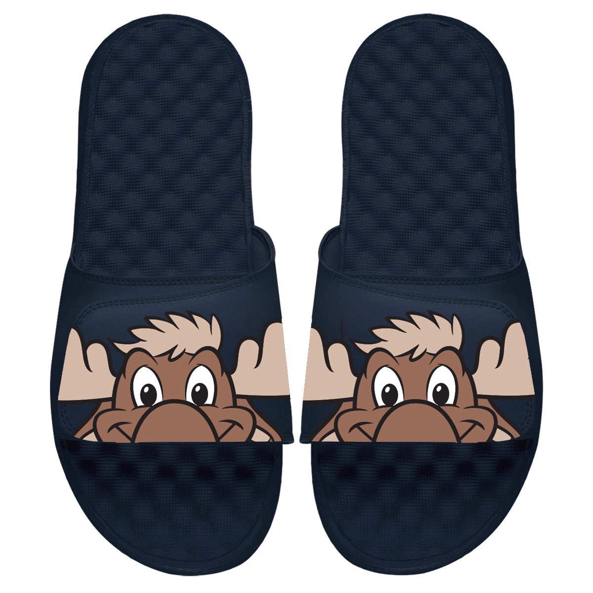 Seattle Mariners Mascot Slides