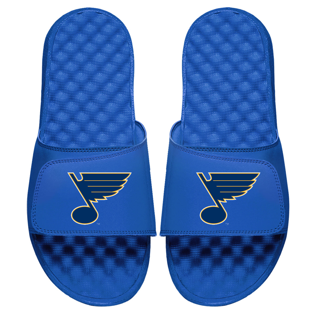 St Louis Blues Primary Slides