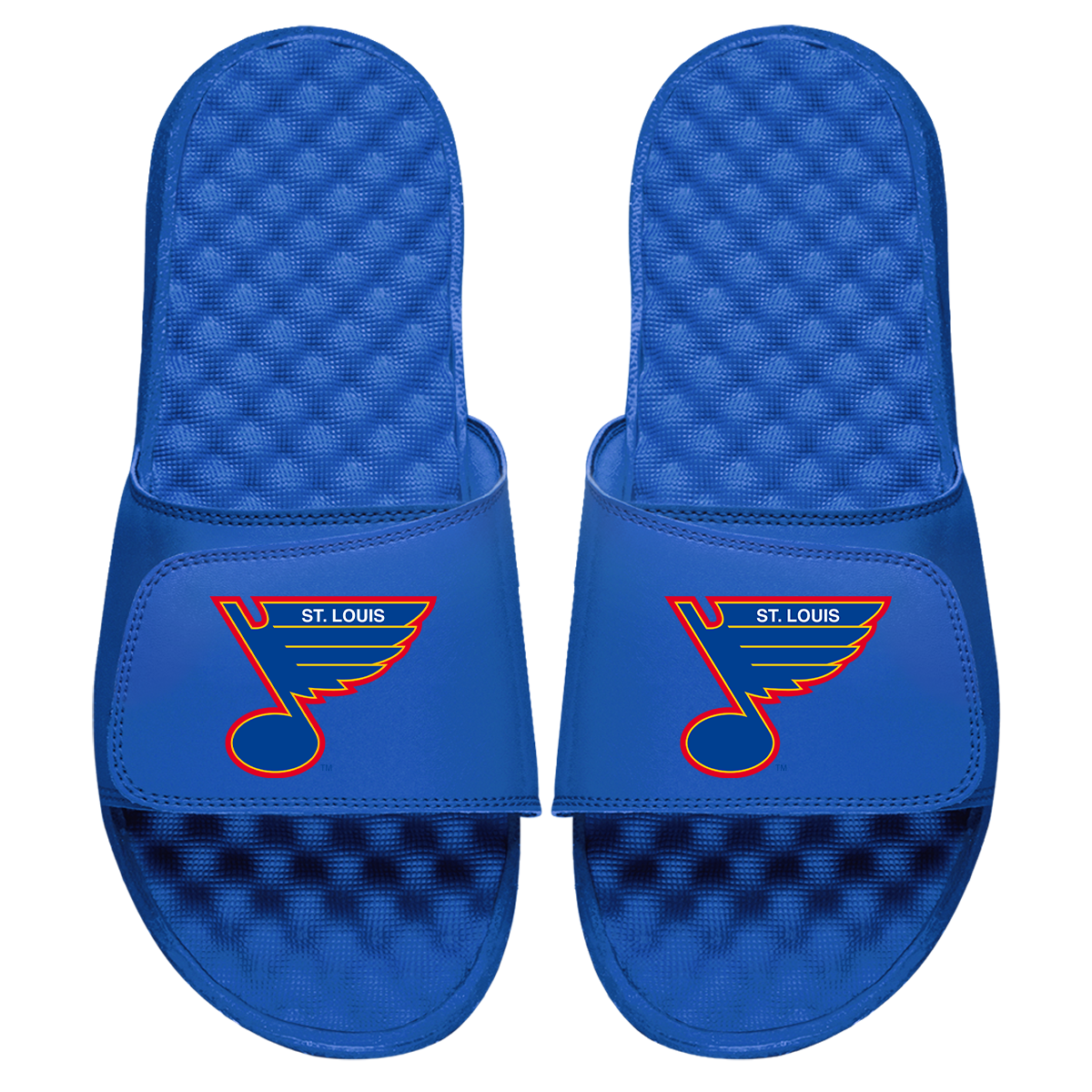 St Louis Blues Vintage Logo Slides