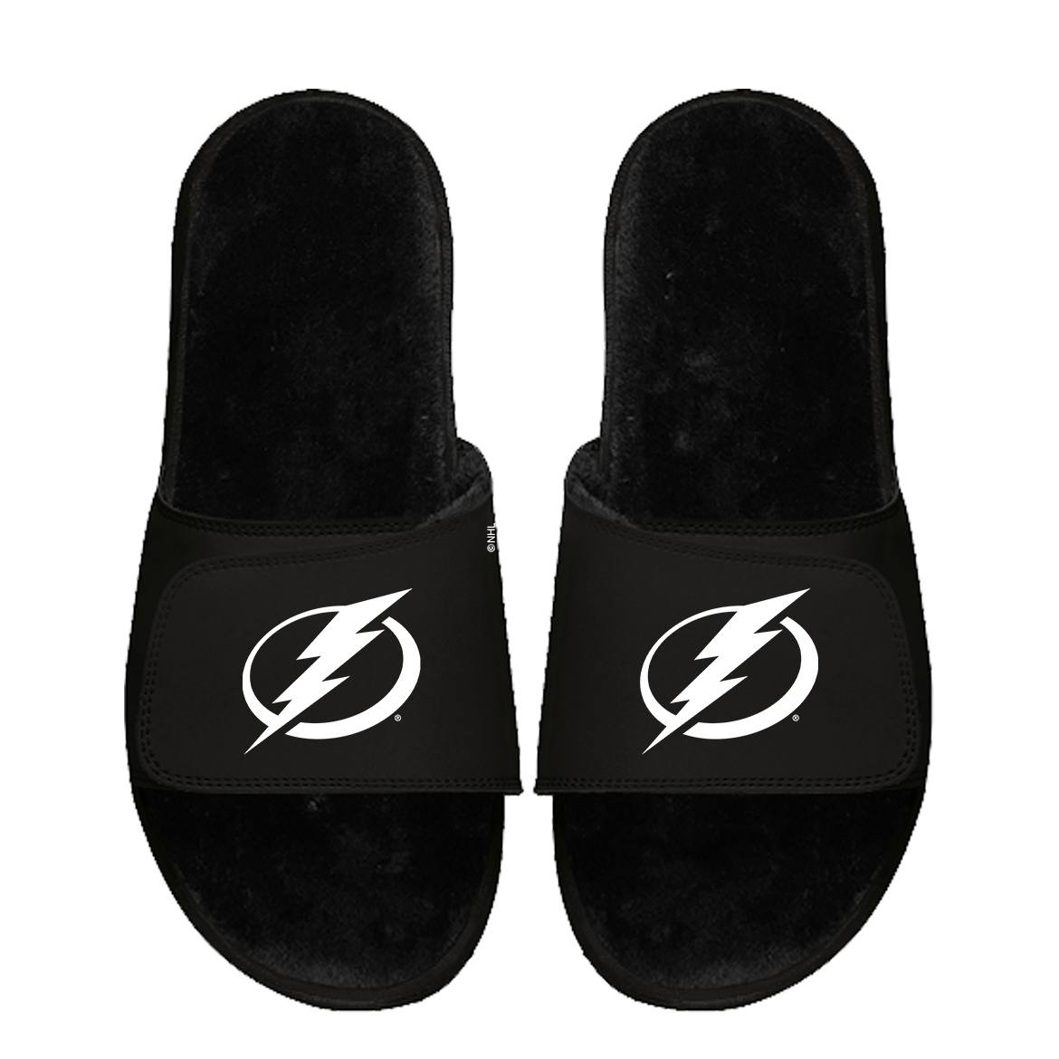 Tampa Bay Lightning Primary Black Fur