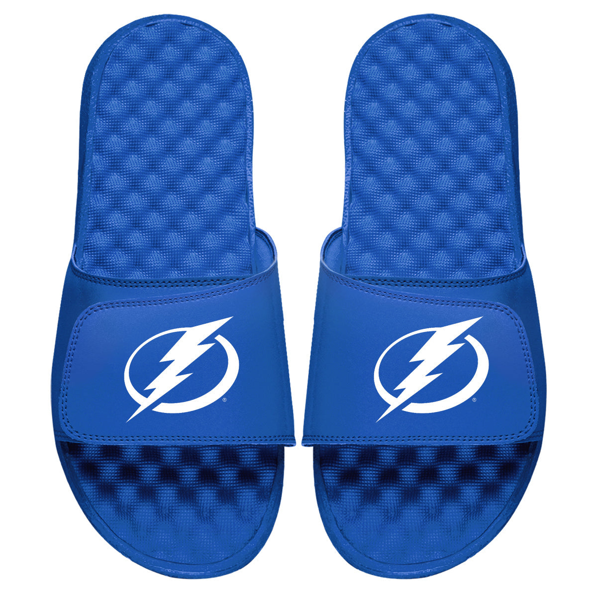 Tampa Bay Lightning Primary Slides