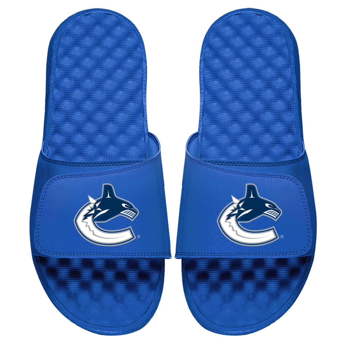 Vancouver Canucks Primary Slides