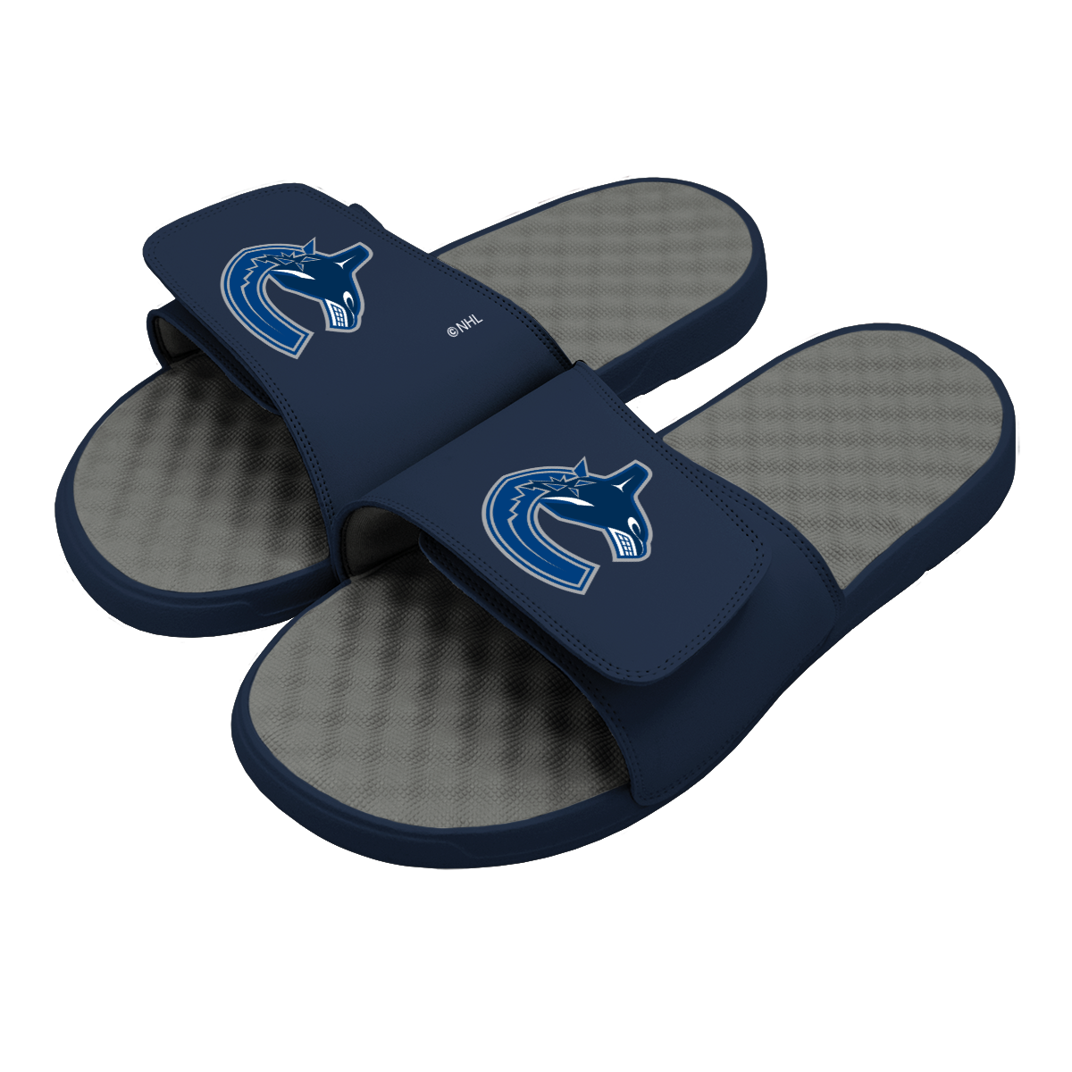 Canucks Primary Logo Slides