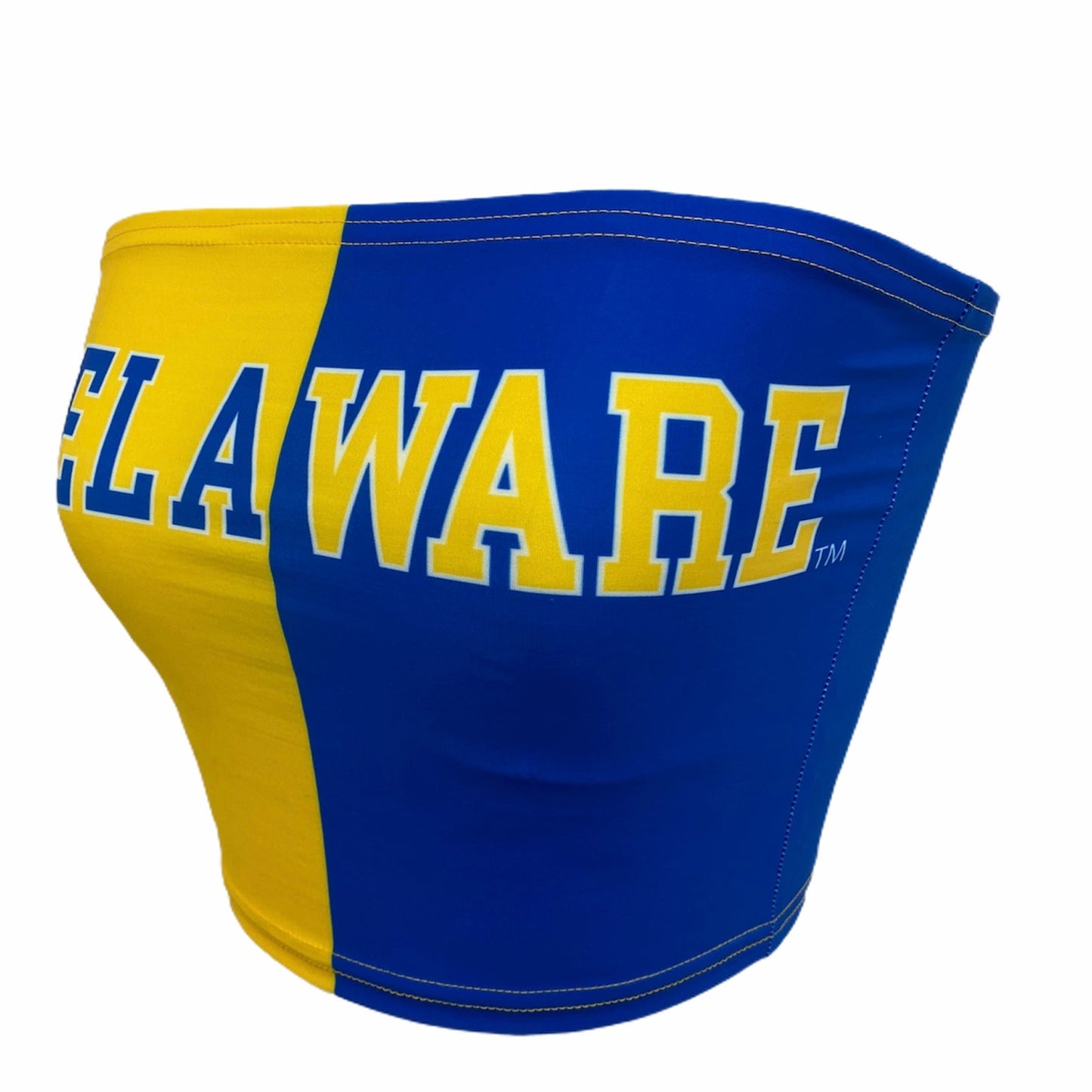 Delaware Two Tone Tube Top