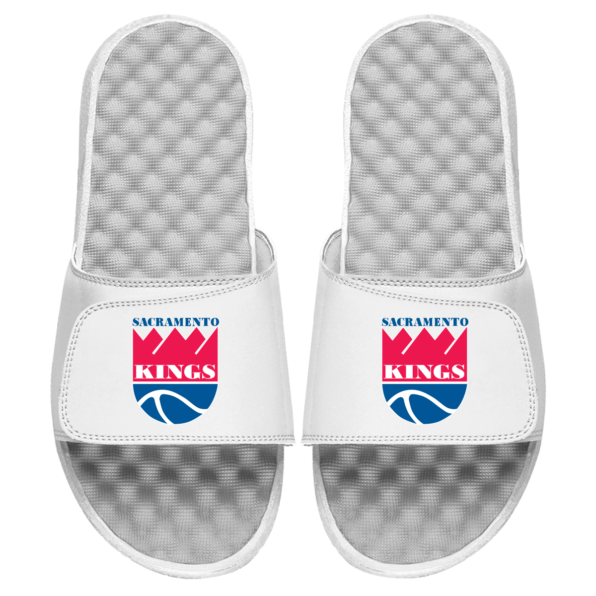Sacramento Kings HWC Primary Slides