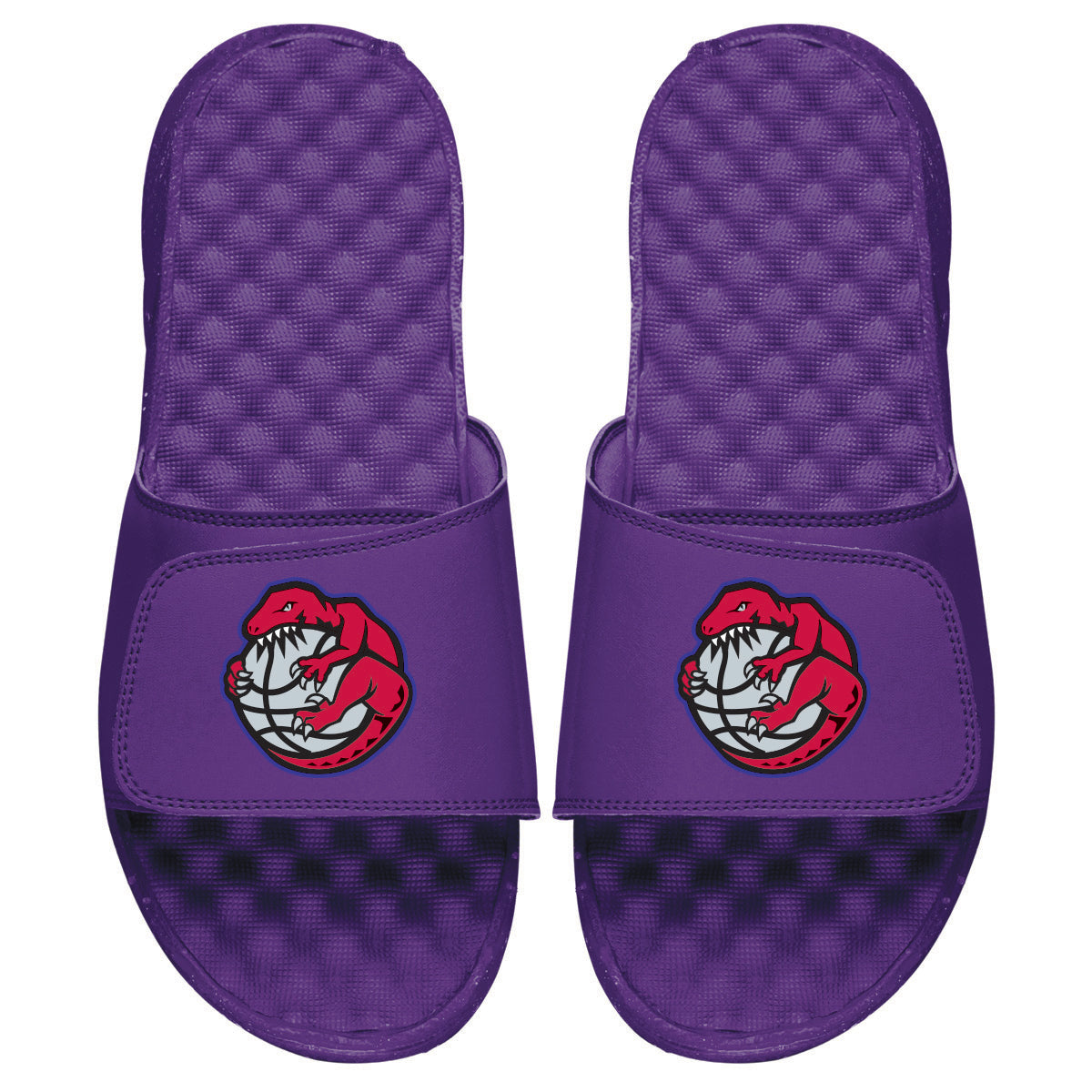 Raptors HWC Mascot Logo Slides