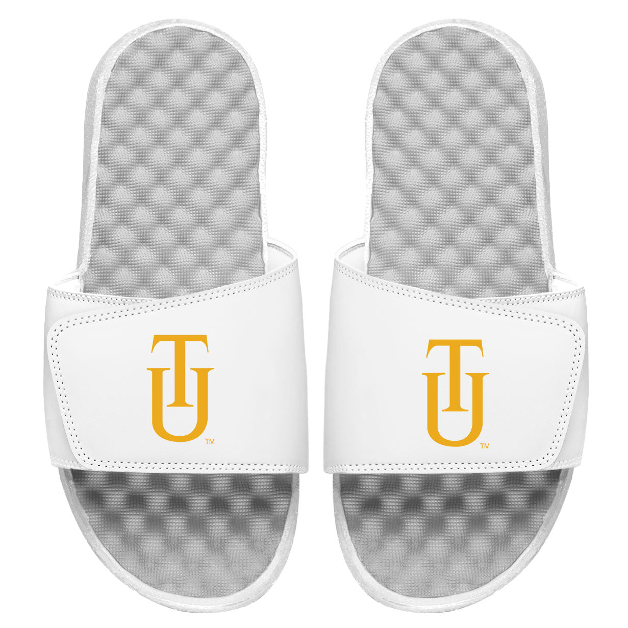 Tuskegee Logo Slides