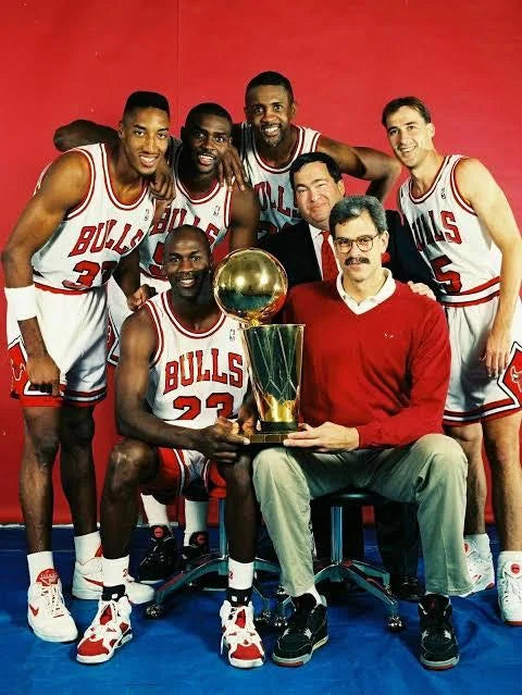 The Dominance of the 1991 Chicago Bulls in the NBA