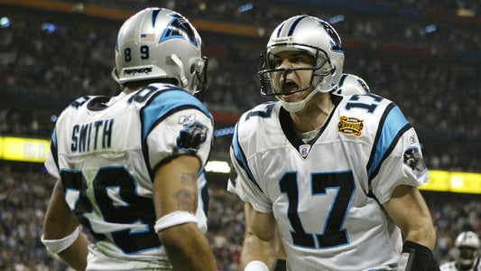 The Epic Saga of the 2003 Carolina Panthers: A Triumph of Grit and Glory