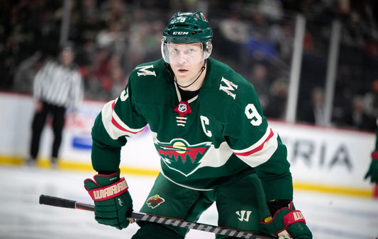 The History of the Minnesota Wild in the NHL