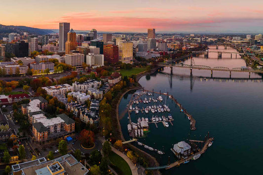 Elevating the Game: A Retrospective on Portland's Professional Sports Legacy
