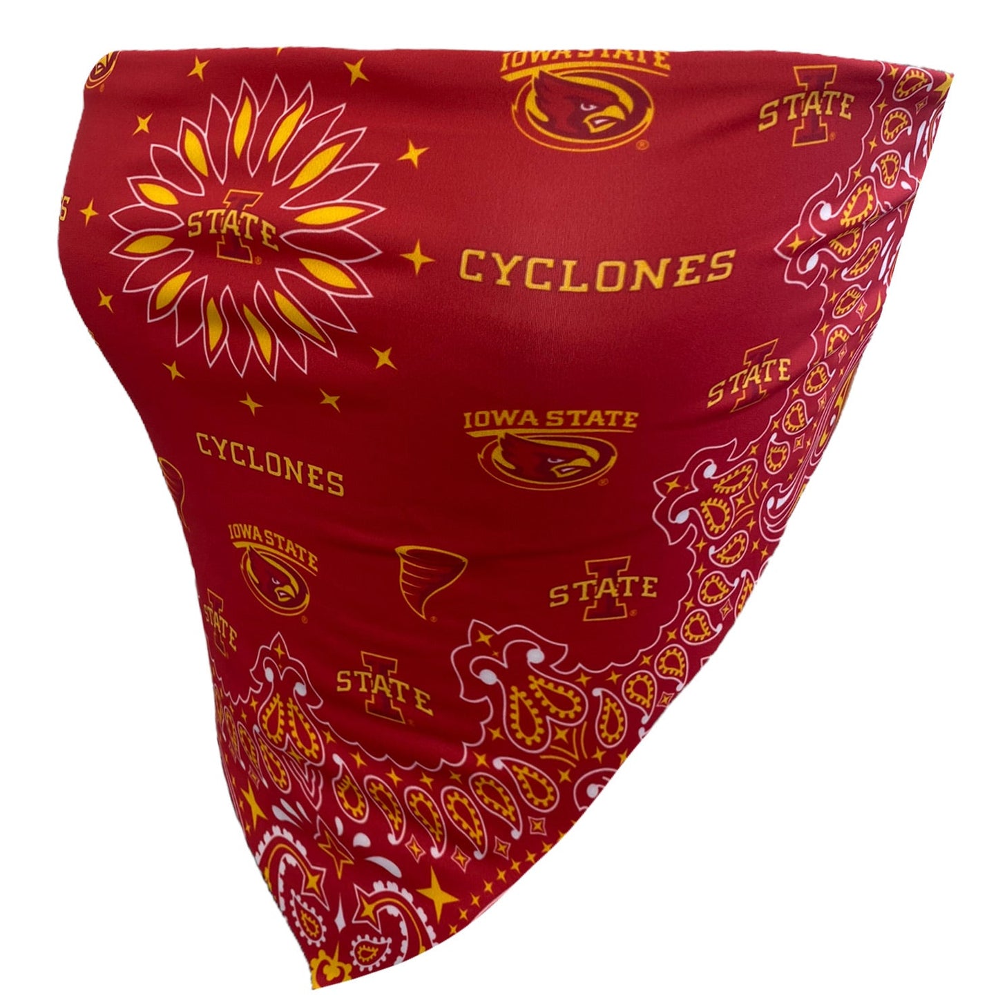 Iowa State Bandana Top