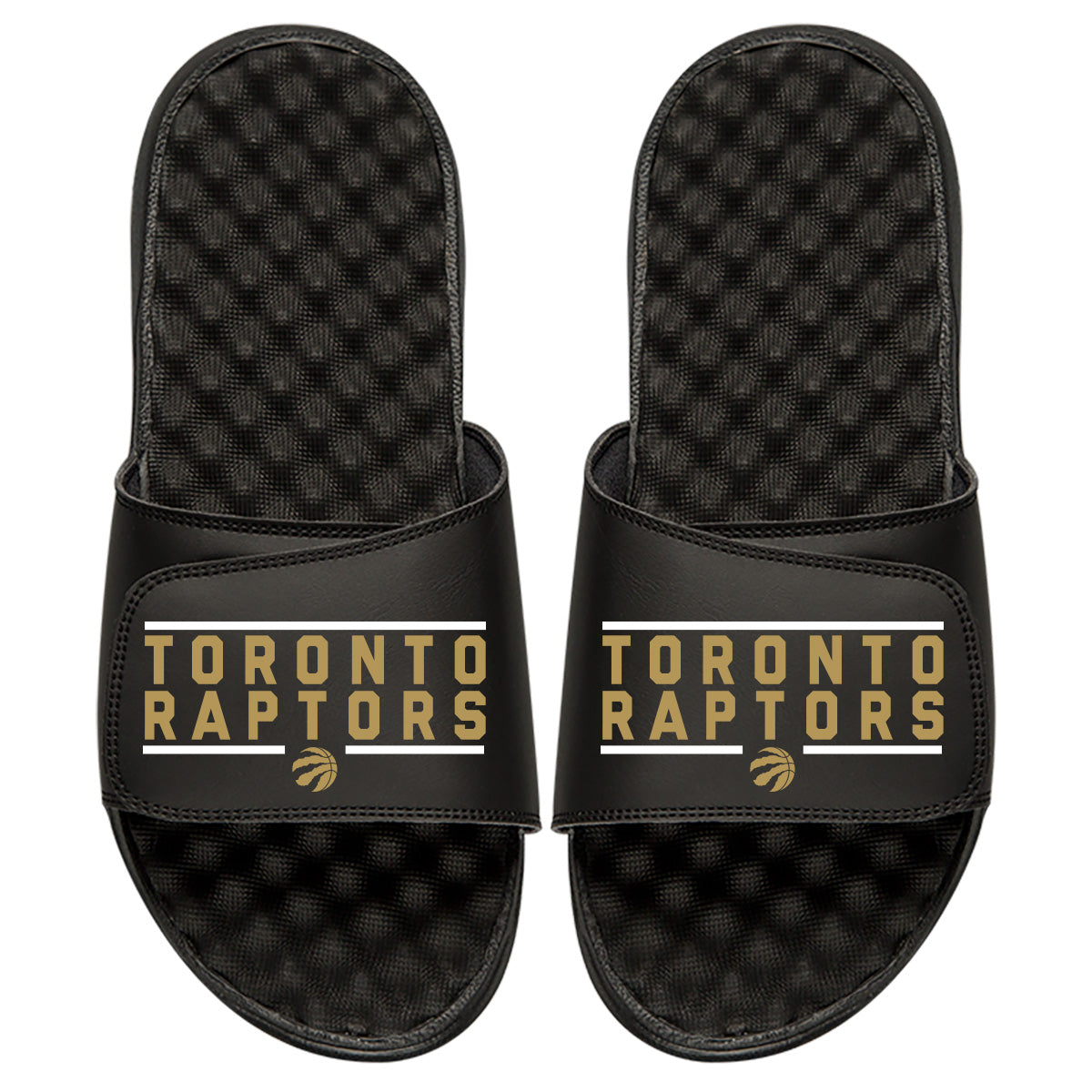 Toronto Raptors Bar Logo Slides
