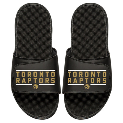 Toronto Raptors Bar Logo Slides