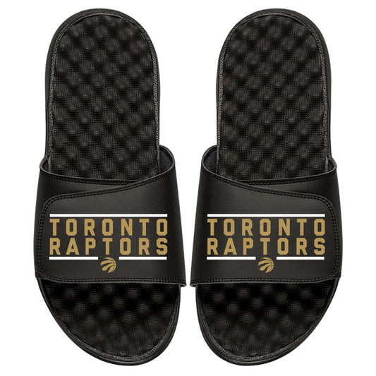 Toronto Raptors Bar Logo Slides
