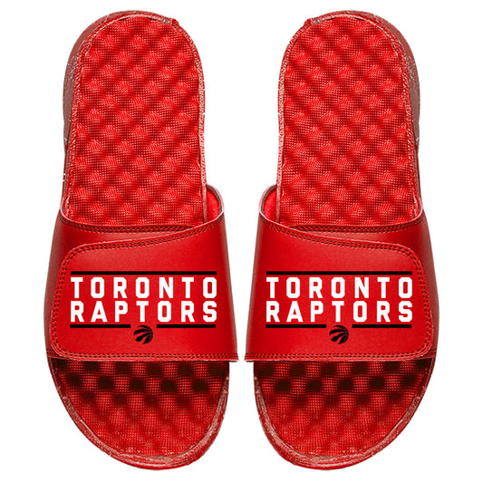 Toronto Raptors Bar Logo Slides