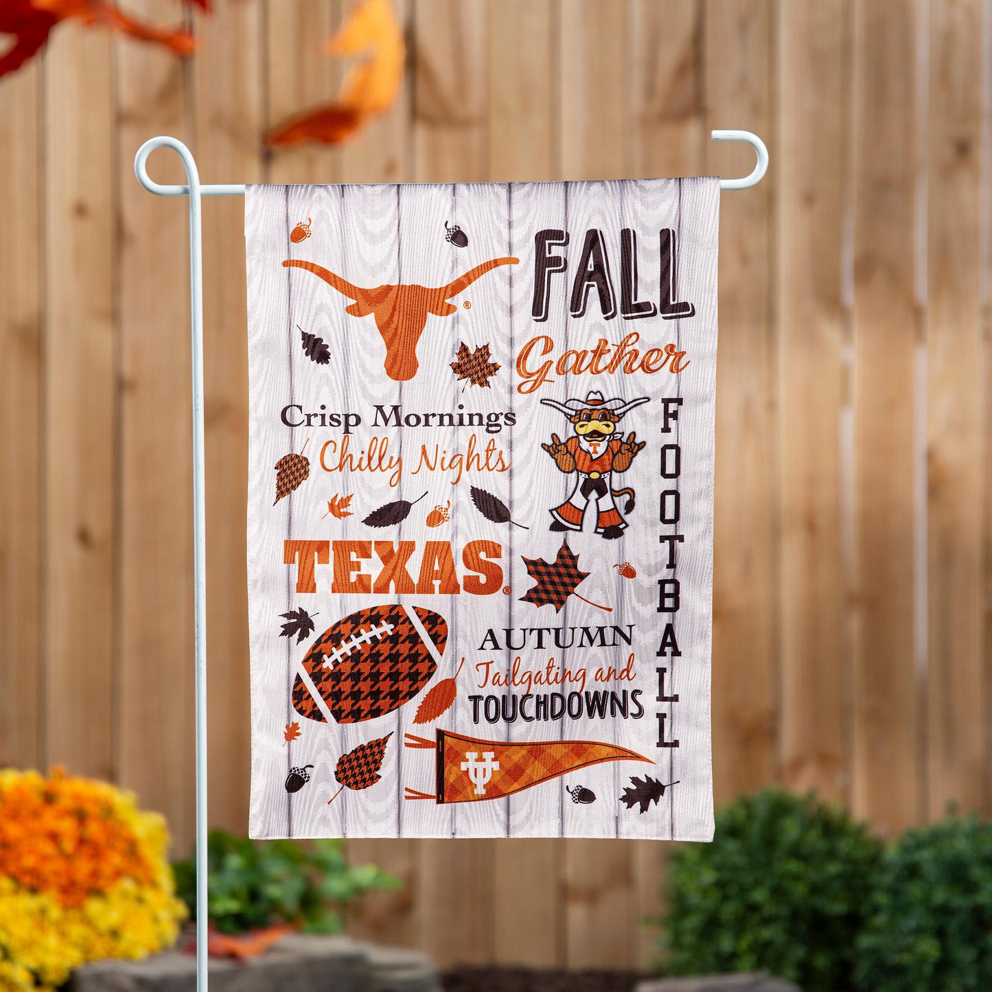 University of Texas, Moire Flag, GDN, Fall Seasonal