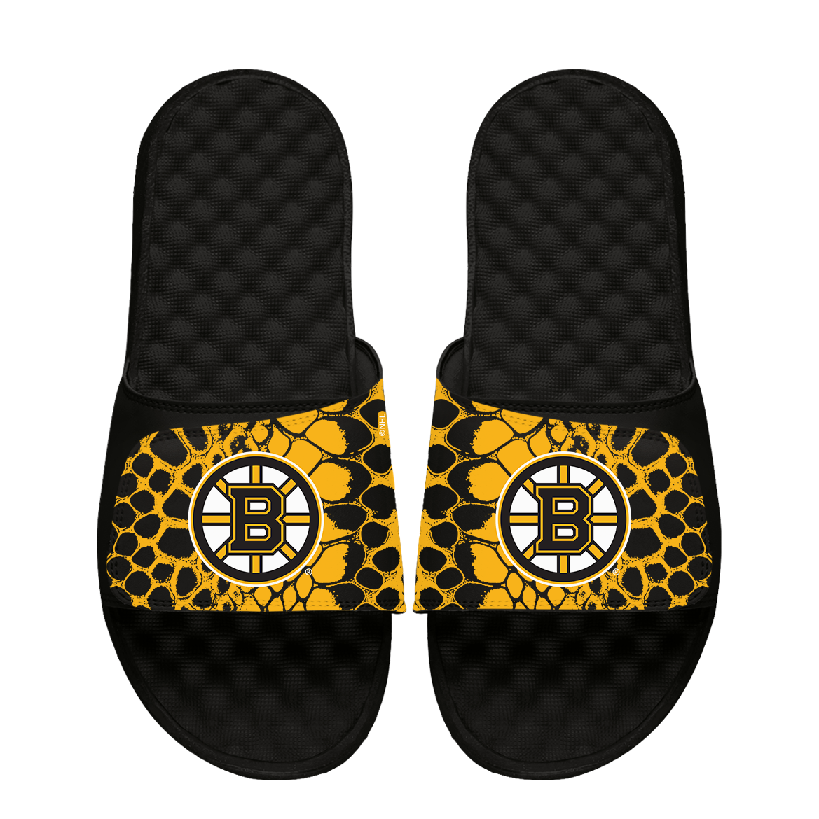 Bruins Year of the Snake