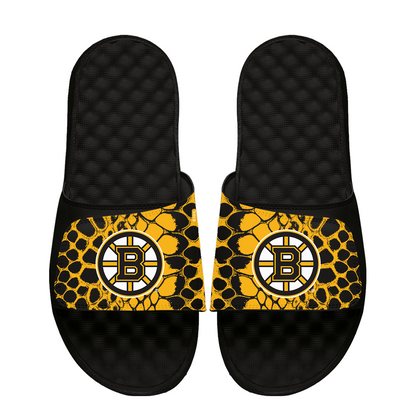 Bruins Year of the Snake