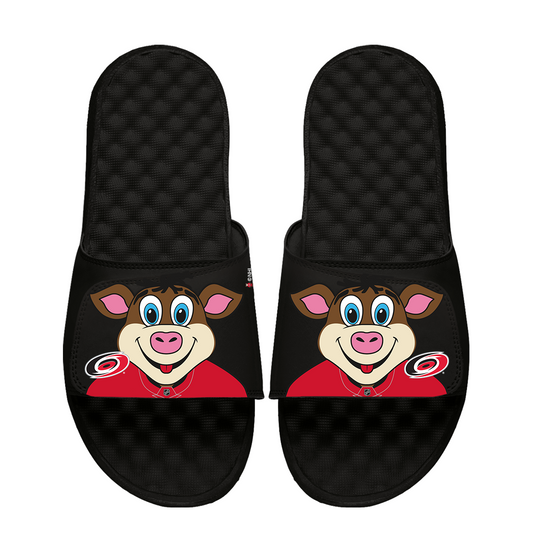 Carolina Hurricanes Mascot