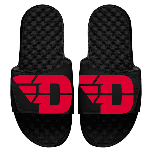 Dayton Blown Up Slides