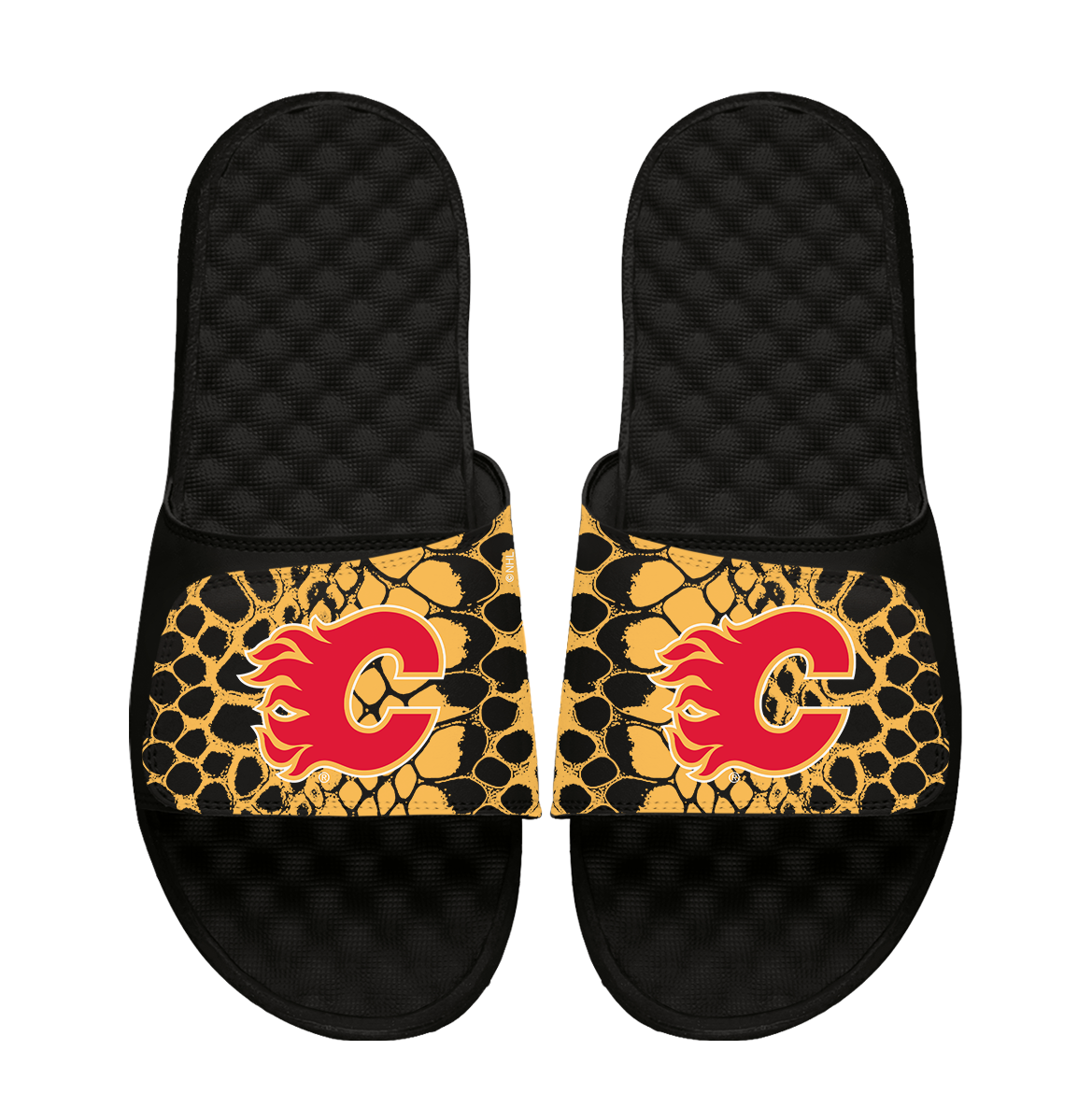 Flames Year of the Snake