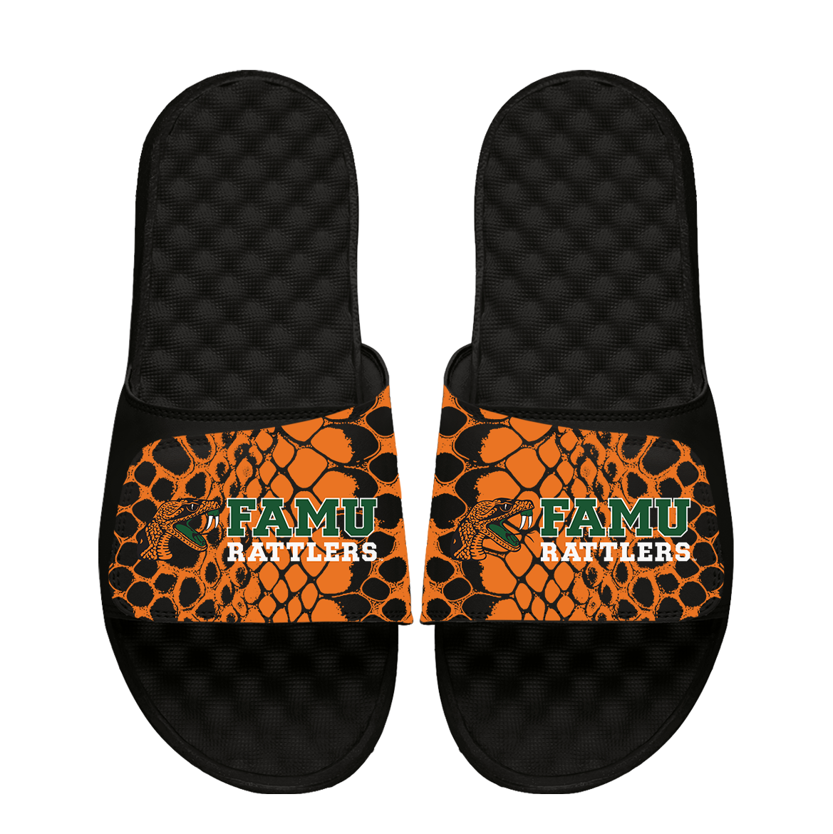 Florida A&M Rattlers Year of the Snake