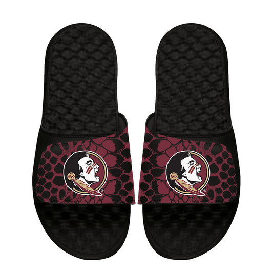 Florida State Seminoles Year of the Snake